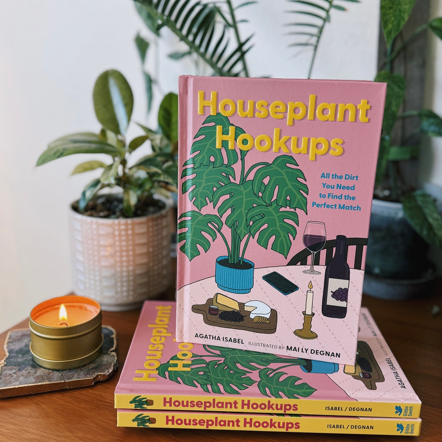 Set of 12: Houseplant Hookups