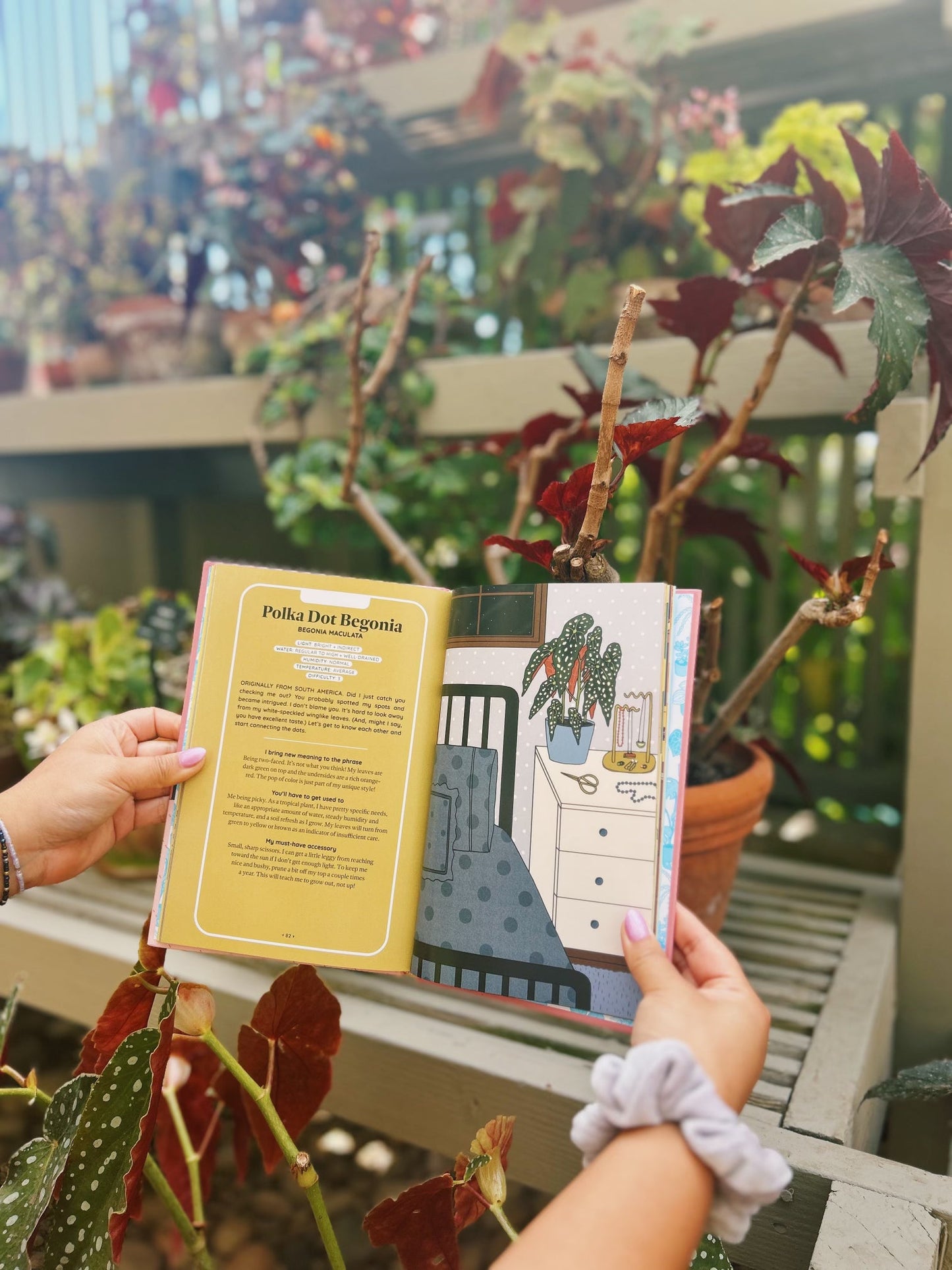 Houseplant Hookups - SIGNED book