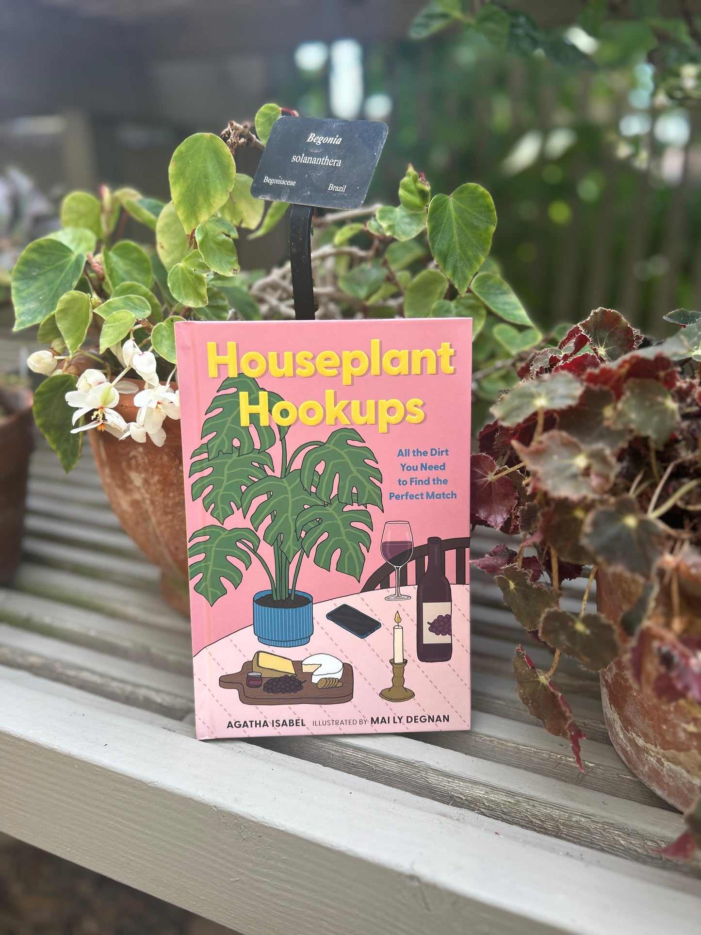 Houseplant Hookups (SIGNED with handmade bookmark by Agatha)